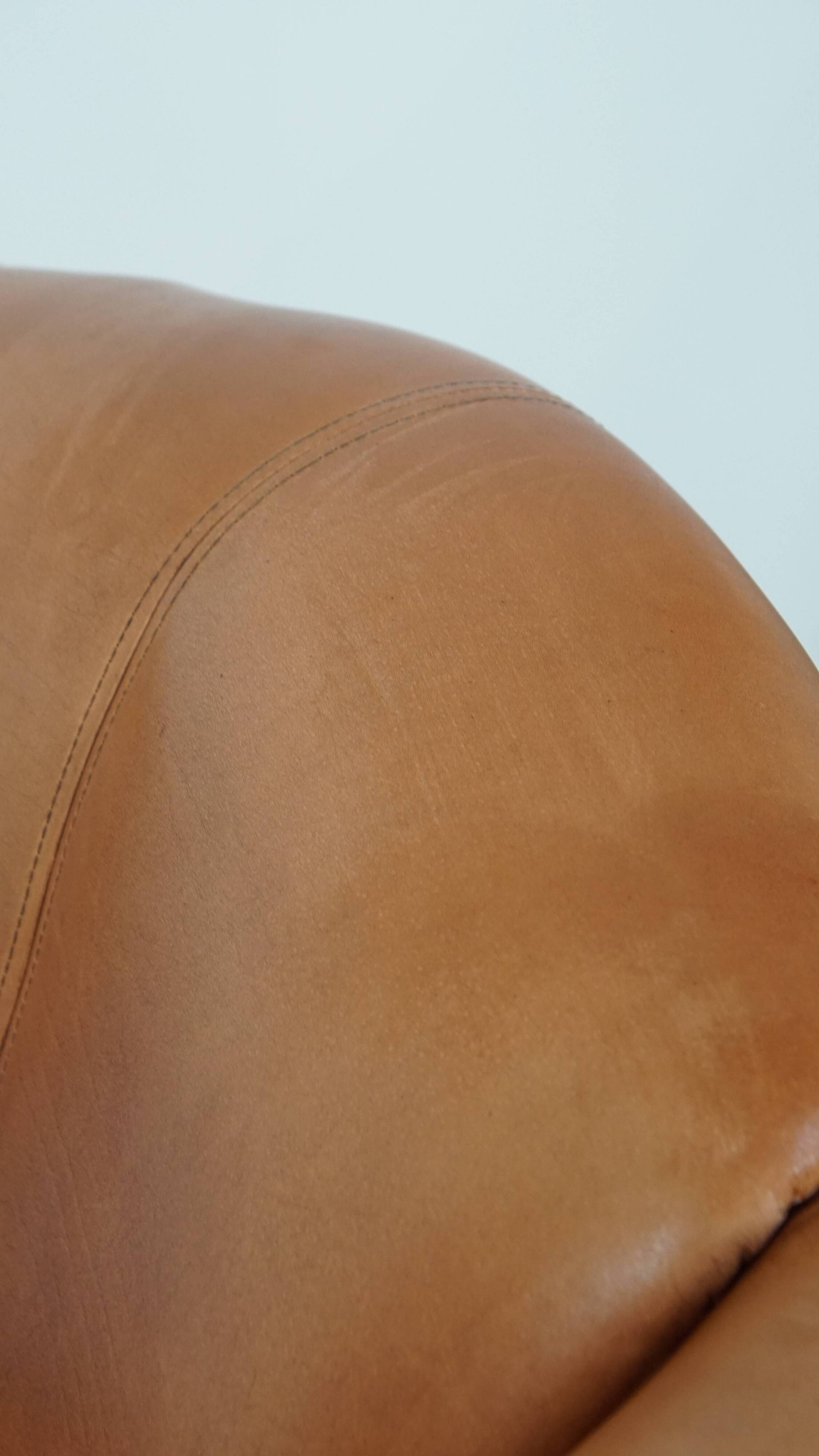 Wingback Chair Made of Cowhide Leather