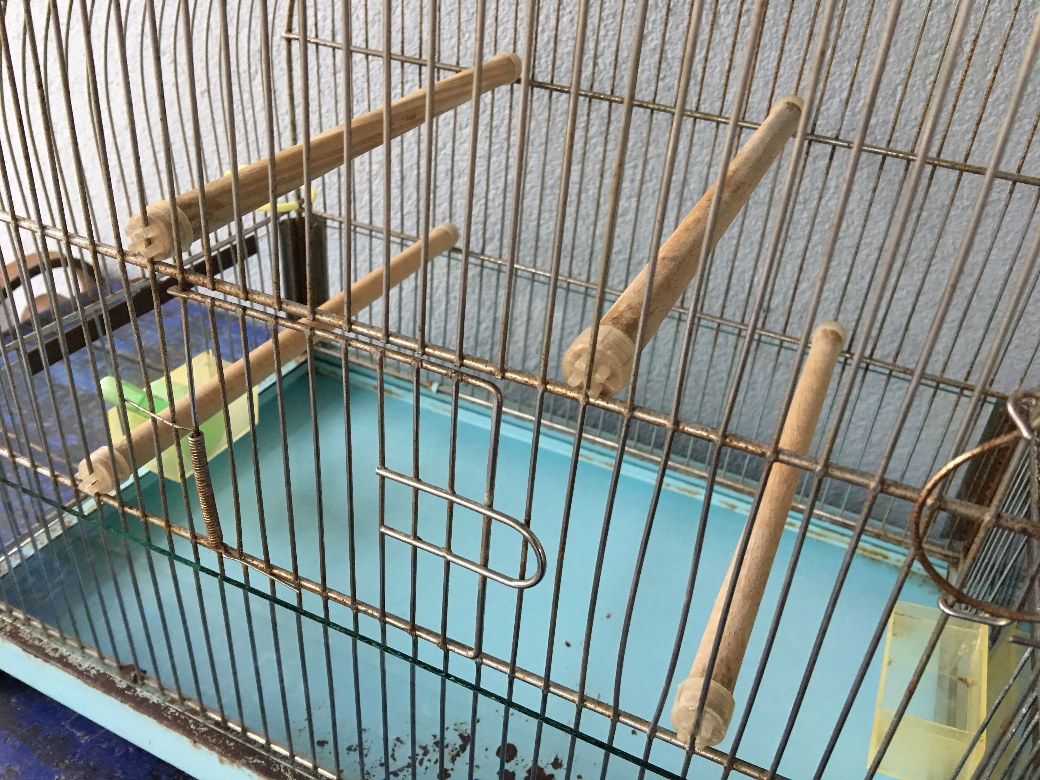 Vintage birdcage