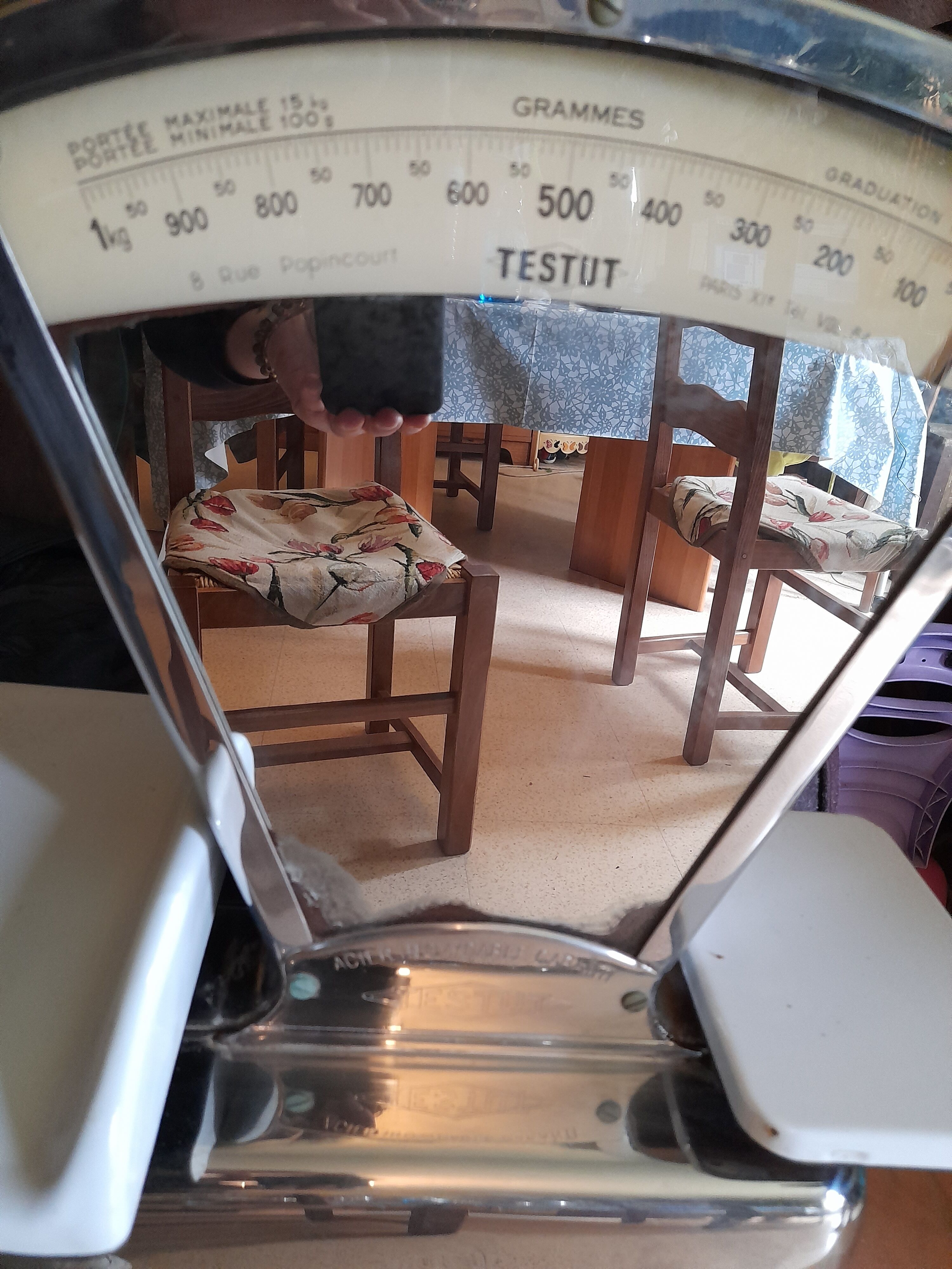 Old scale Testut stainless steel type 401