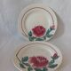 2 rare Sarreguemines Hossegor dishes