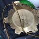 Lampe faience verte