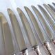 12 sfam dessert knives silver metal 21 cm