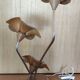 Floral lamp design in wood