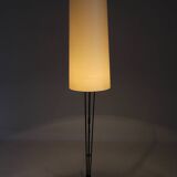 1970s Floor Lamp by Pokrok Zilina , Czechoslovakia