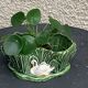 Pot cover in ceramic slurry glazed green pattern foliage and swan made in england numbered