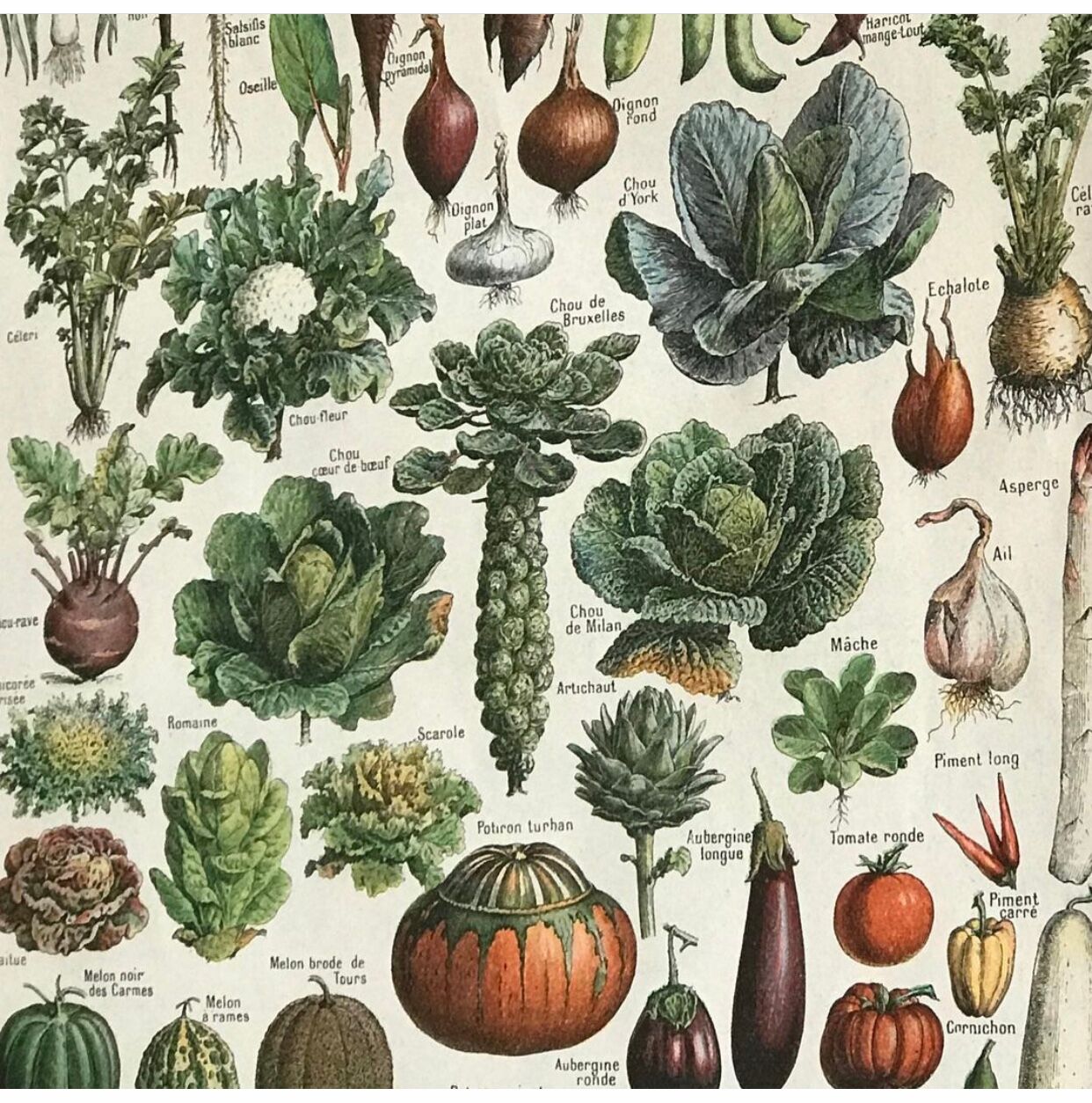 Original vintage board on vegetables