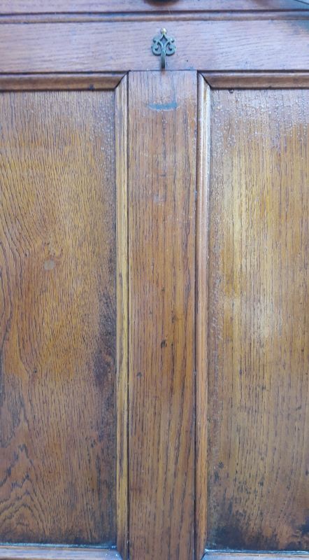 Oak entrance door and its frame and transom, wrought iron gates
