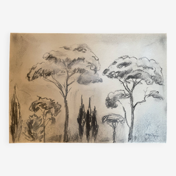 Tableau fusain signé « paysage de Provence » pins parasols