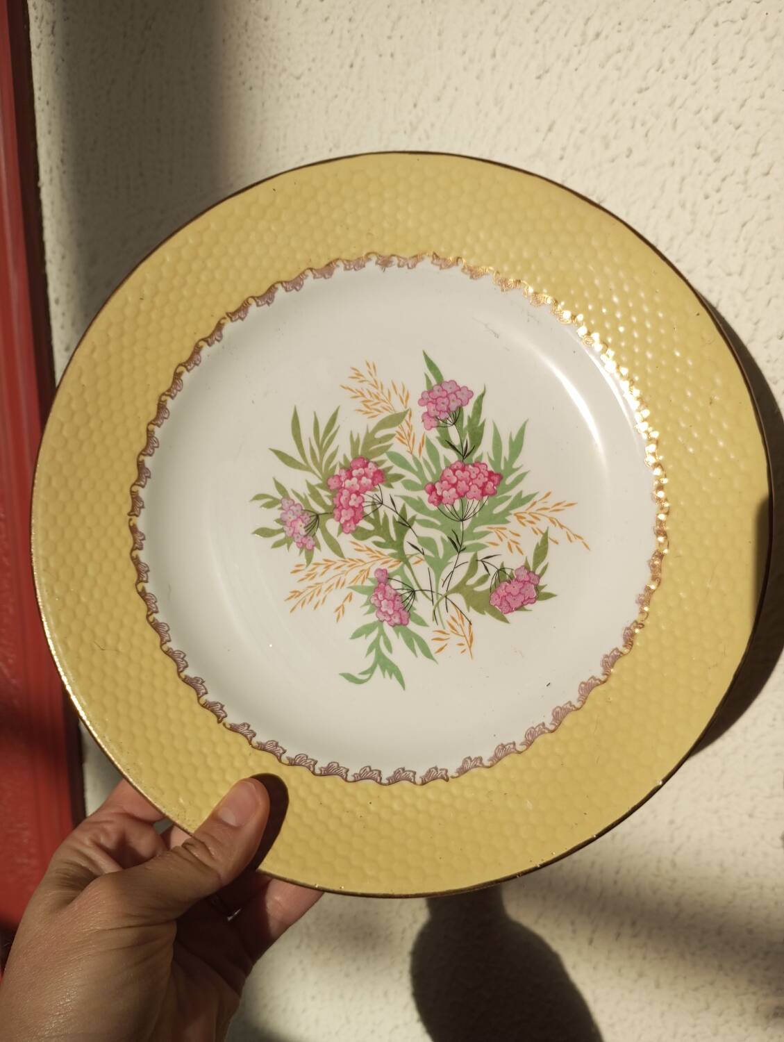 Amandinoise plate service