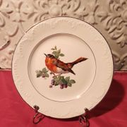 6 assiettes dessert Digoin Sarreguemines décor oiseau en couleur