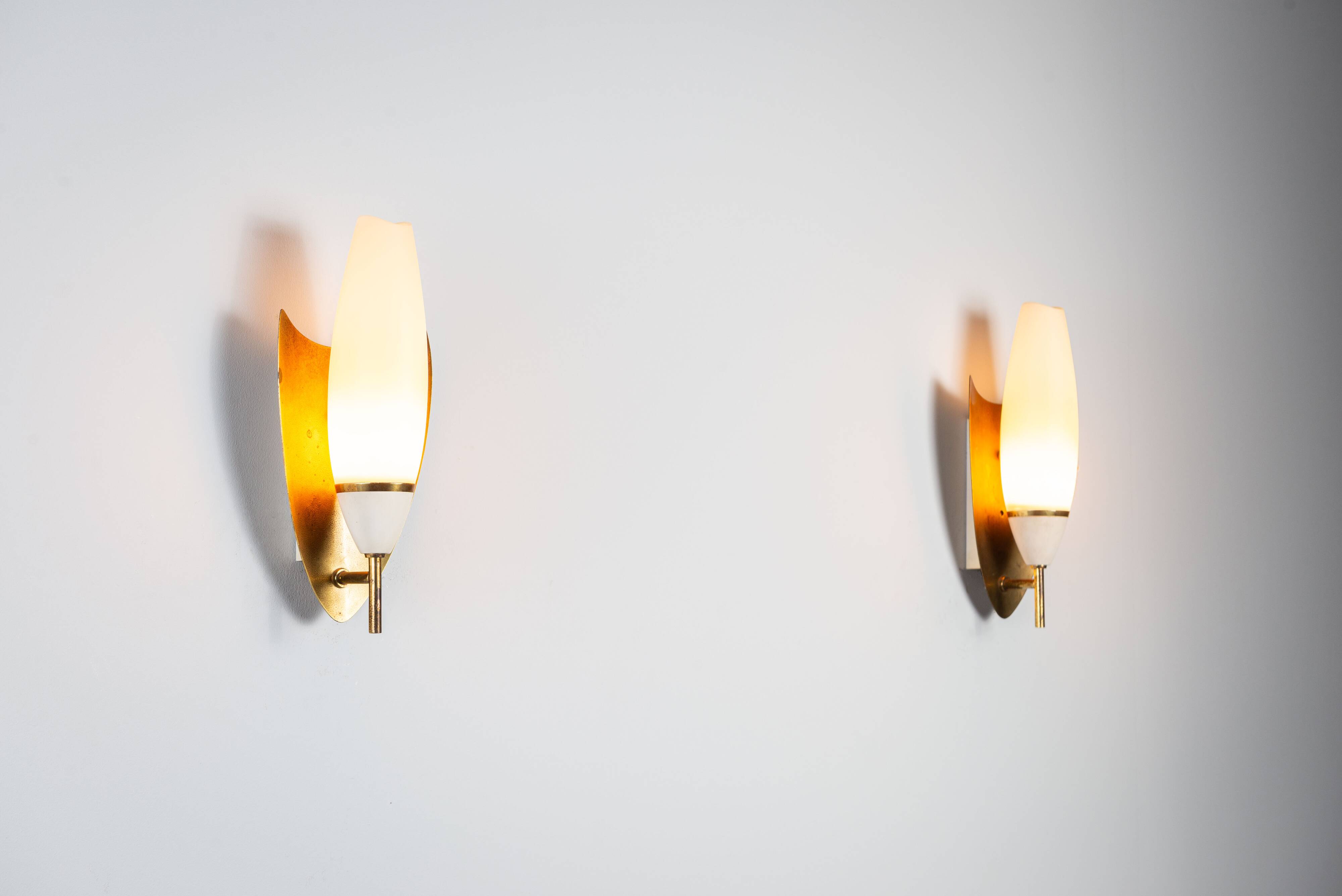 Pair of wall lamps with brass shields and glass shades