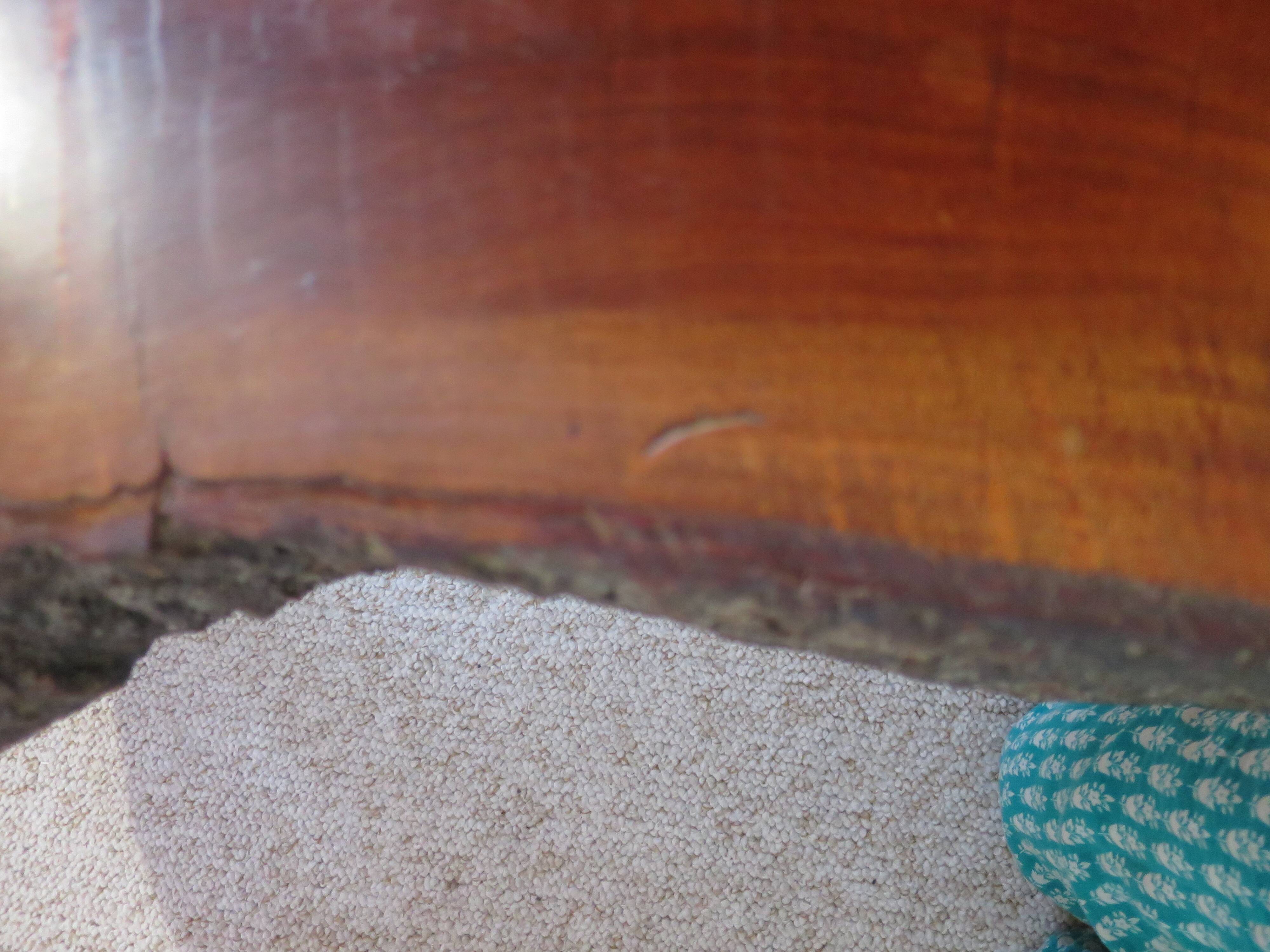 Tripod coffee table - solid okoumé wood - organic shape - brutalist style