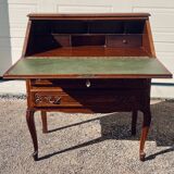 Old donkey's office secretary