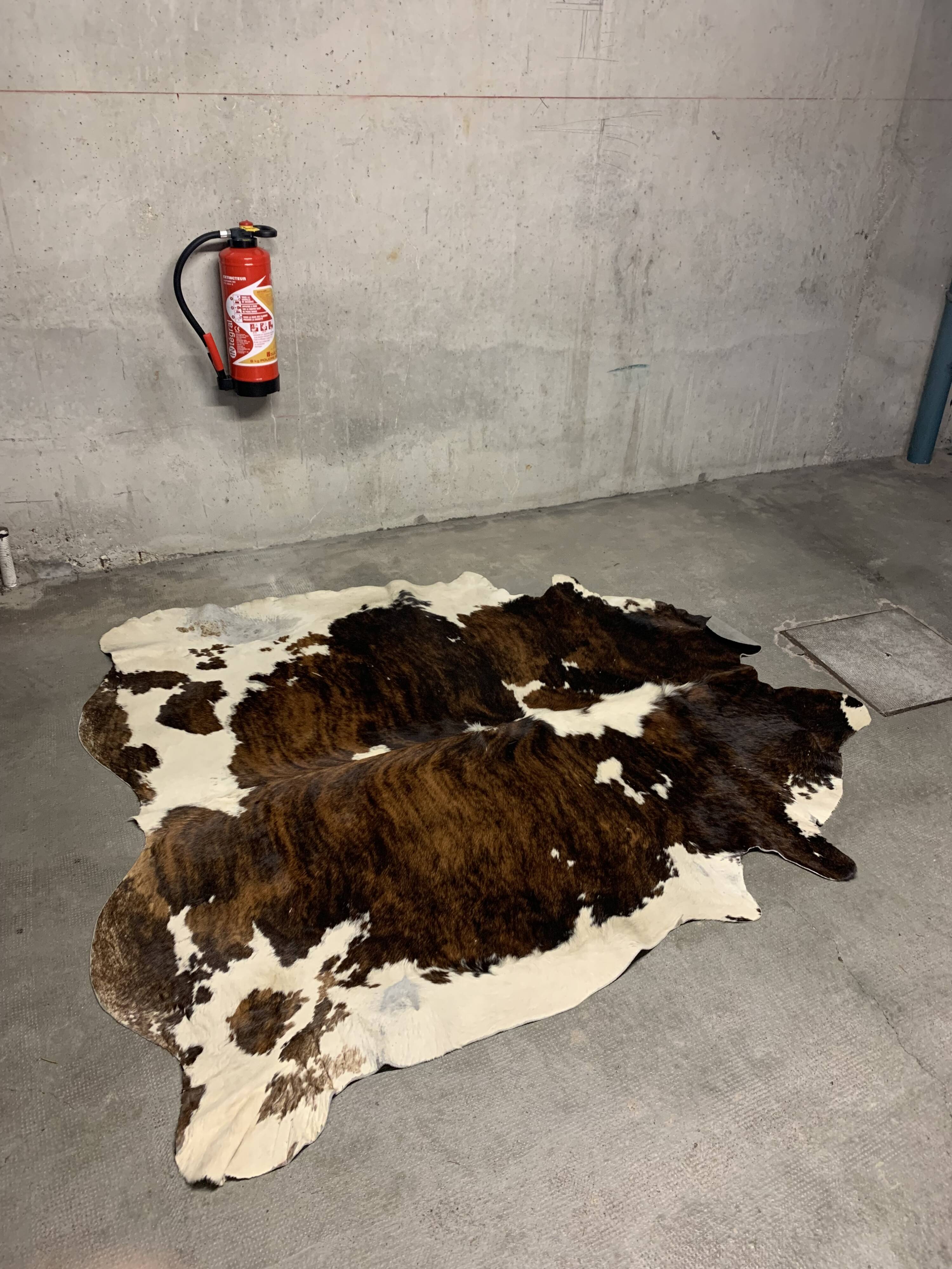 Vintage cowhide rug 1970