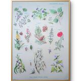 Printed in 1967, calming plants.