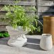 Cache pot design bleached