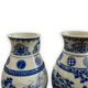 Pair of Asian vases in white and blue porcelain