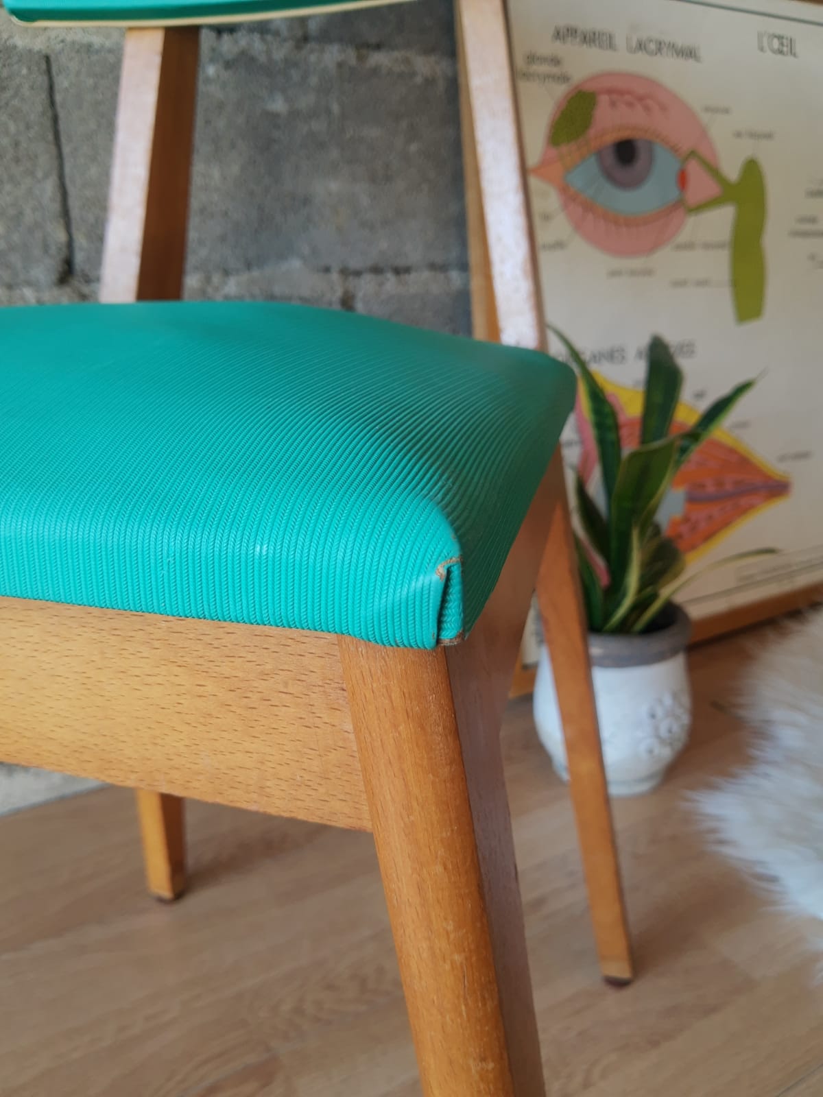 Beech chair compass feet 50s- 60s vinyl - vintage