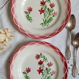 Old mismatched earthenware dessert plates