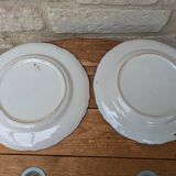 Set of 2 antique decorative plates with cornucopias