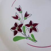 4 vintage flat plates from the Salins factory 210636