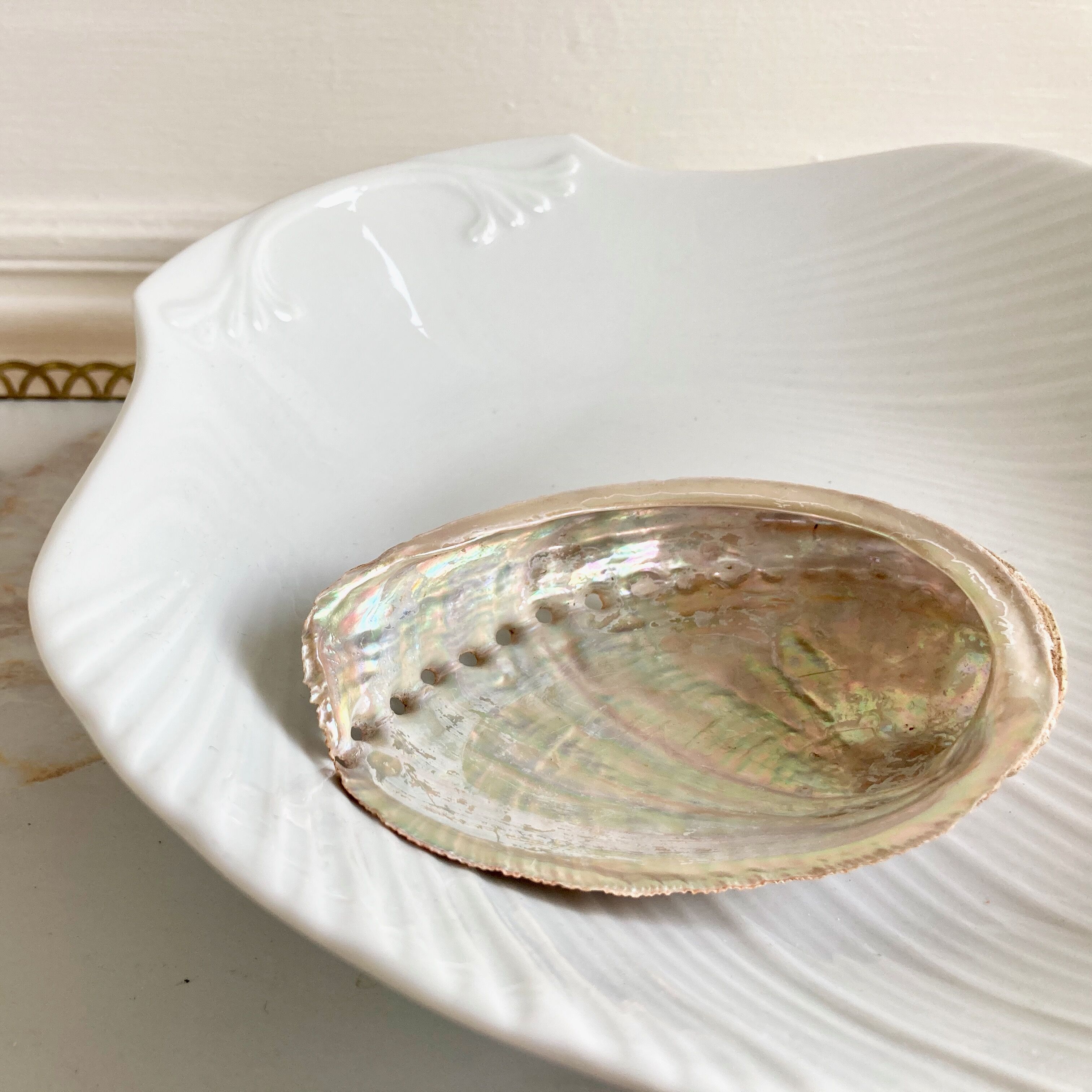 Porcelain shell hollow dish