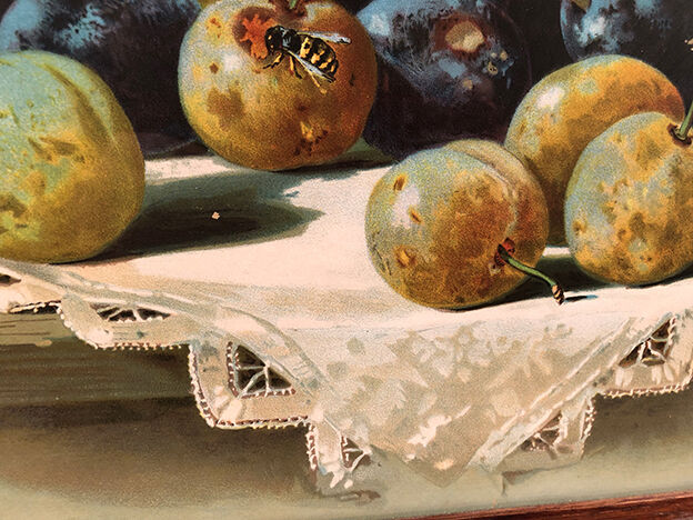 Still life with fruit, framed chromolithograph, under glass