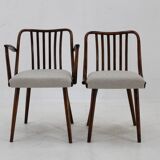 1960s Antonin Suman Set of Six Beech Dining Chairs, Restored