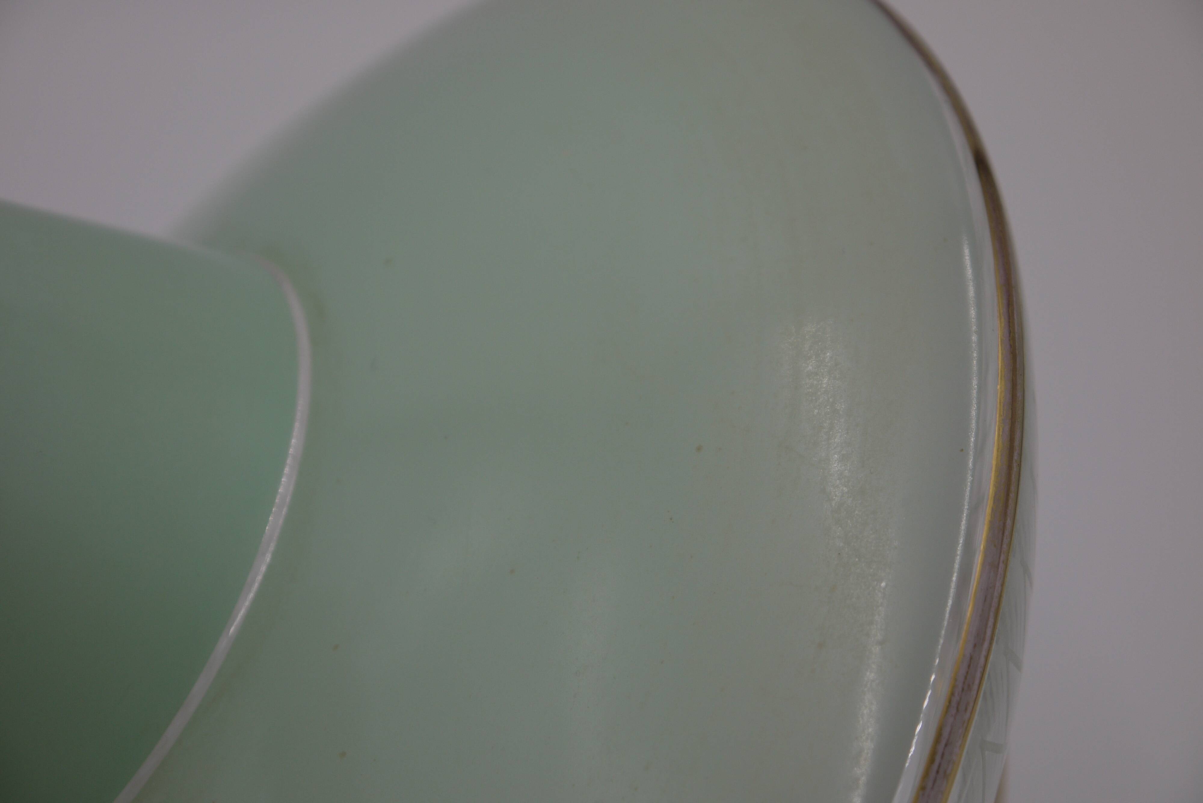 Green saucer suspension