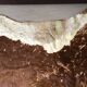 Cow skin mat 210 x 175 cm