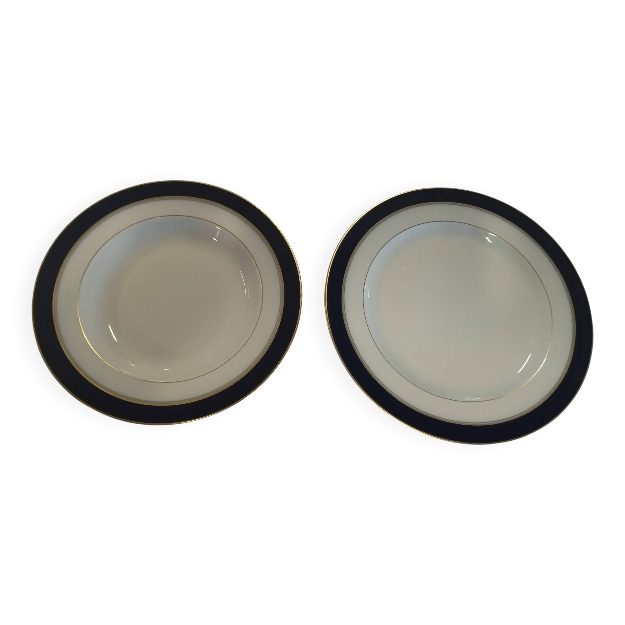 Lot of 2 Bernardaud Limoge-Palermo Plates