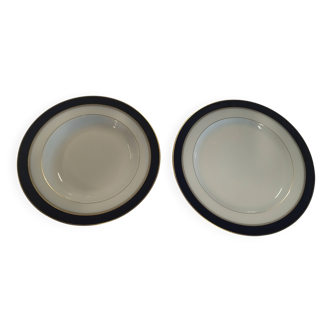 Lot of 2 Bernardaud Limoge-Palermo Plates