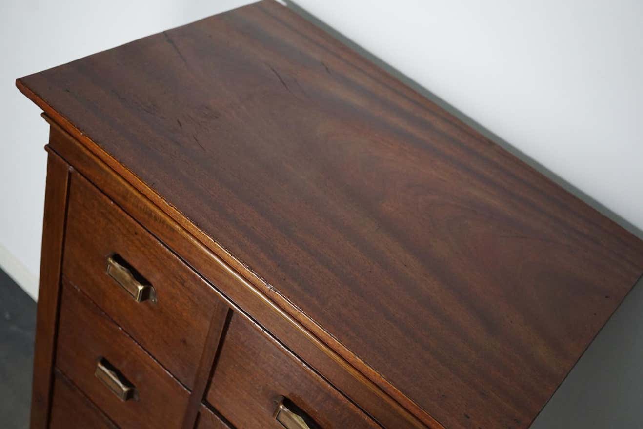 Classification cabinet mahogany drawers Netherlands 1930s