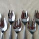 Box of 12 stainless steel oyster forks Létang and Rémy