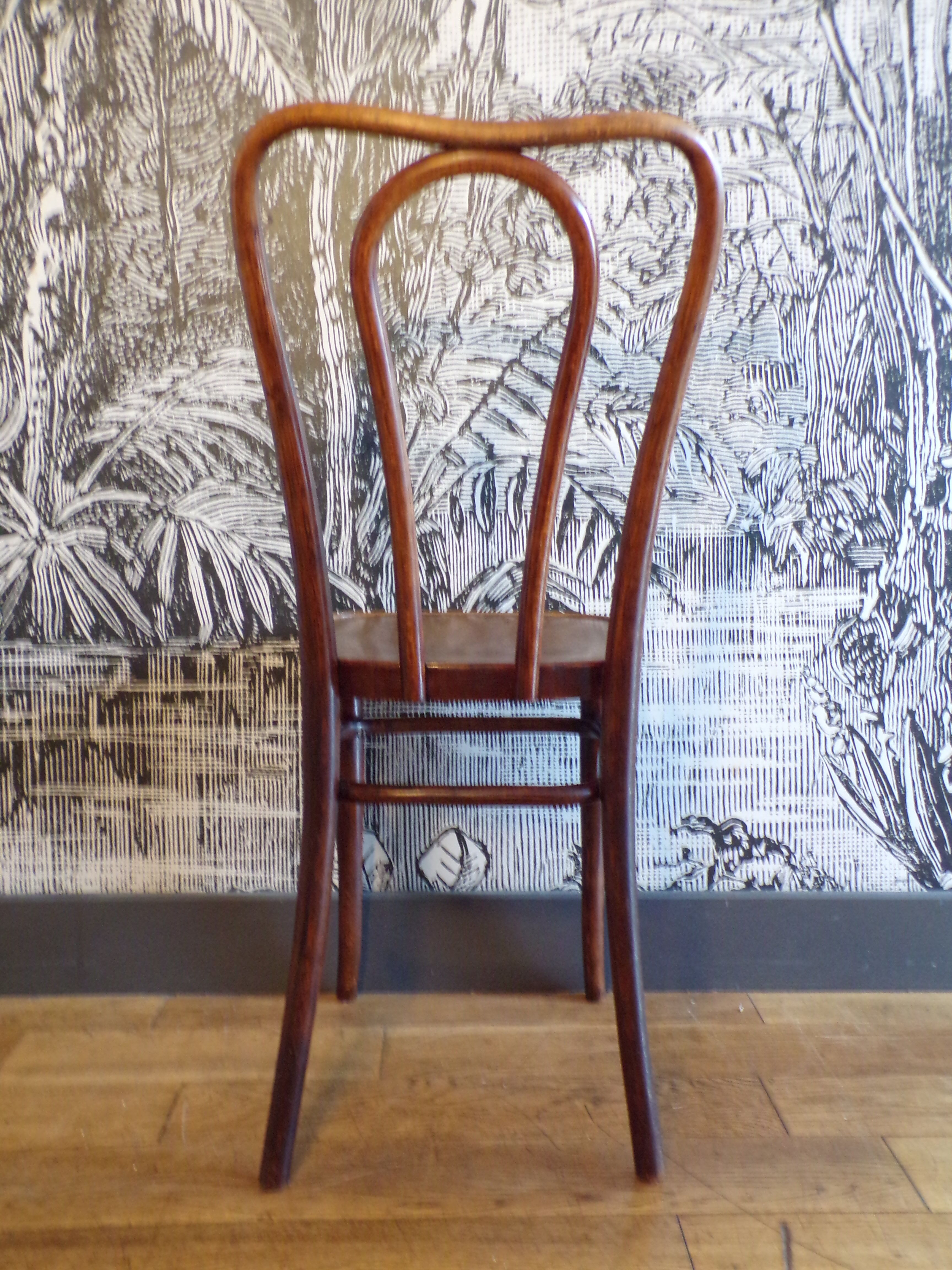 Bistro chair 1900 in curved wood