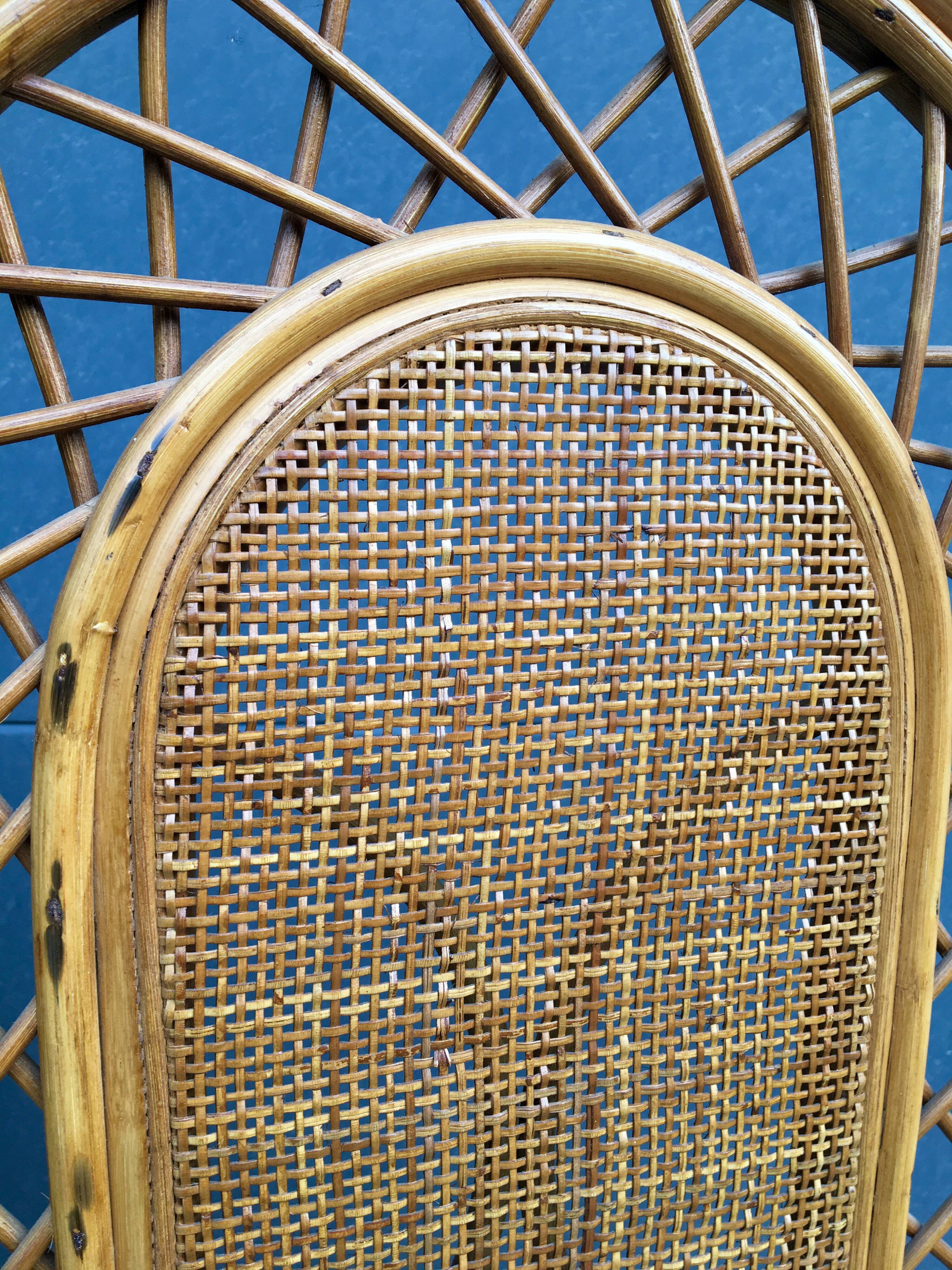 Wicker and rattan screen