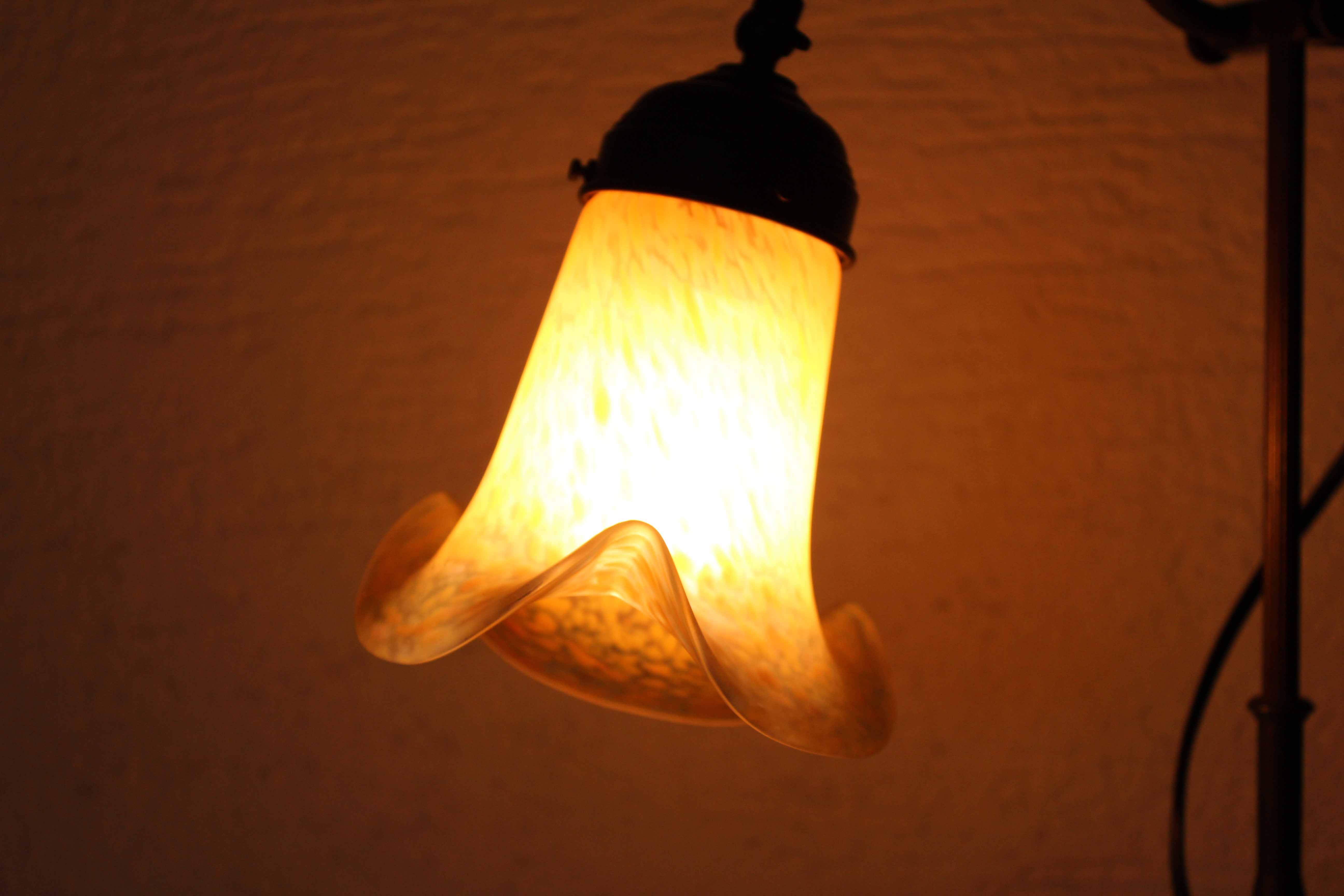 Gooseneck lamp with Vianne glass paste tulip