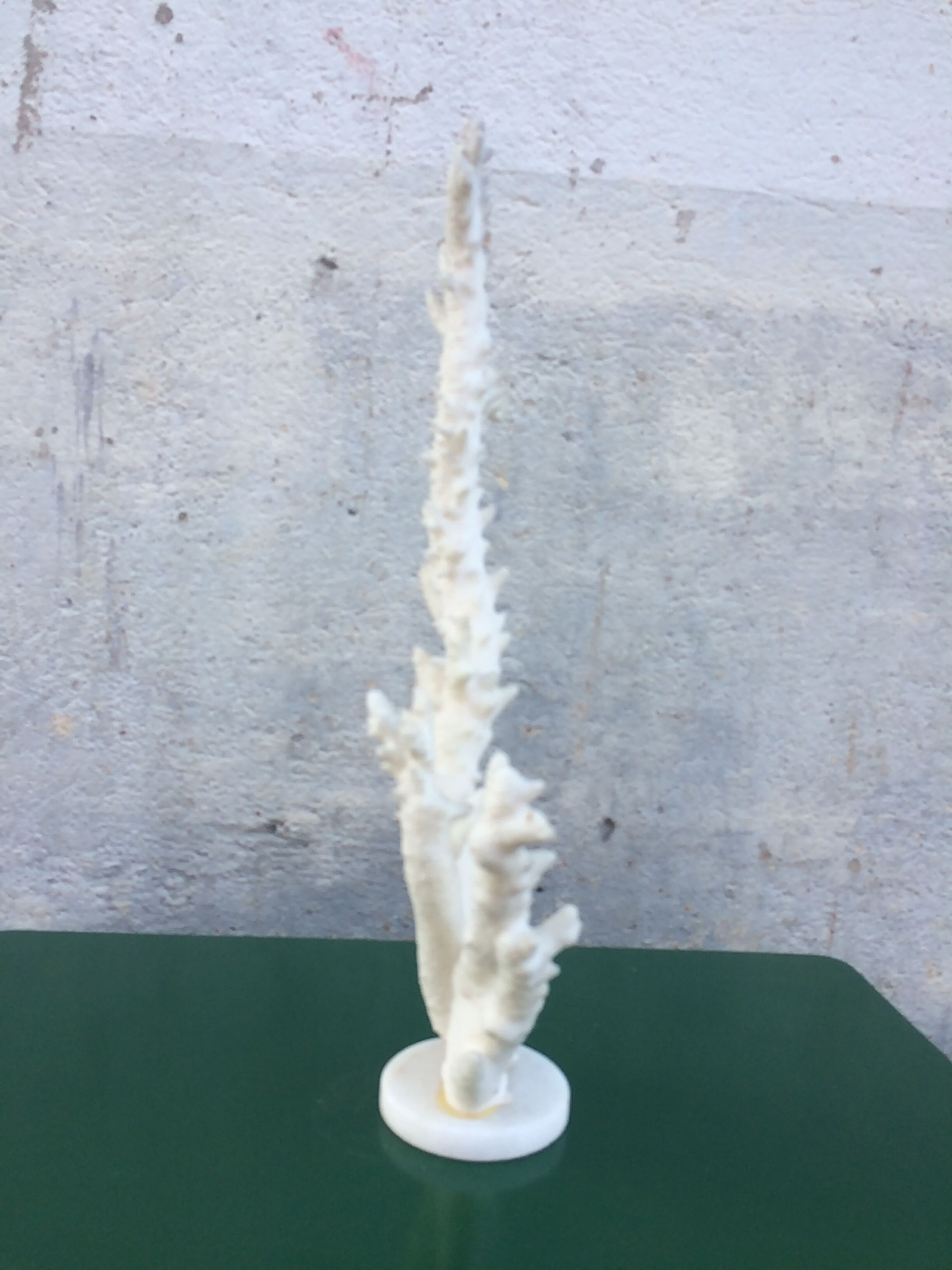 Coral branch 46 x 31 cm on alabaster marble base