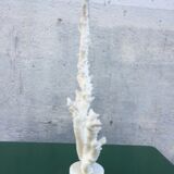 Coral branch 46 x 31 cm on alabaster marble base