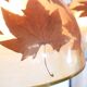 Italian design hanging lamps resin and leaves, 1970s 1980s