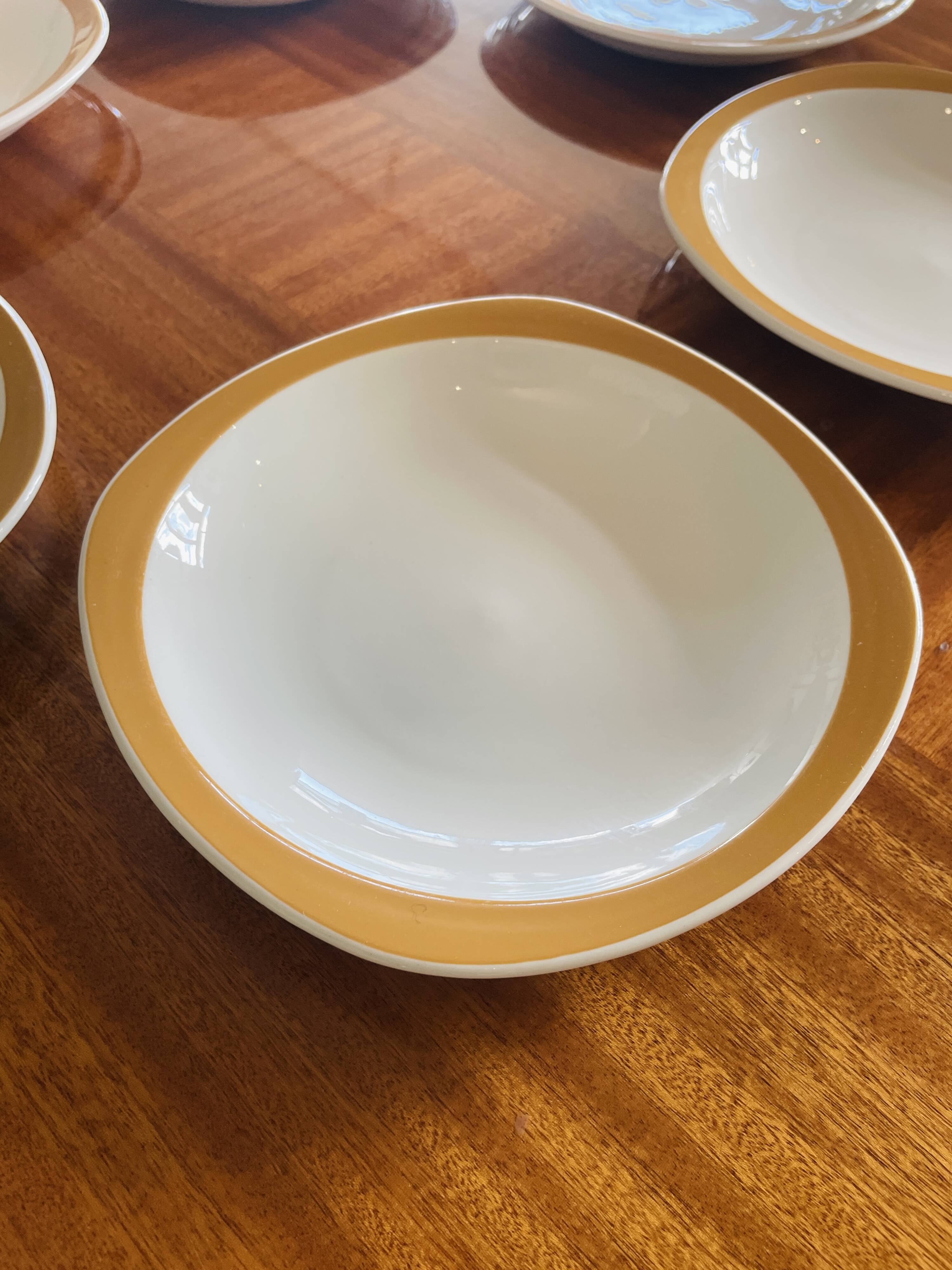 6 vintage deep plates Sarreguemines Pyroblan