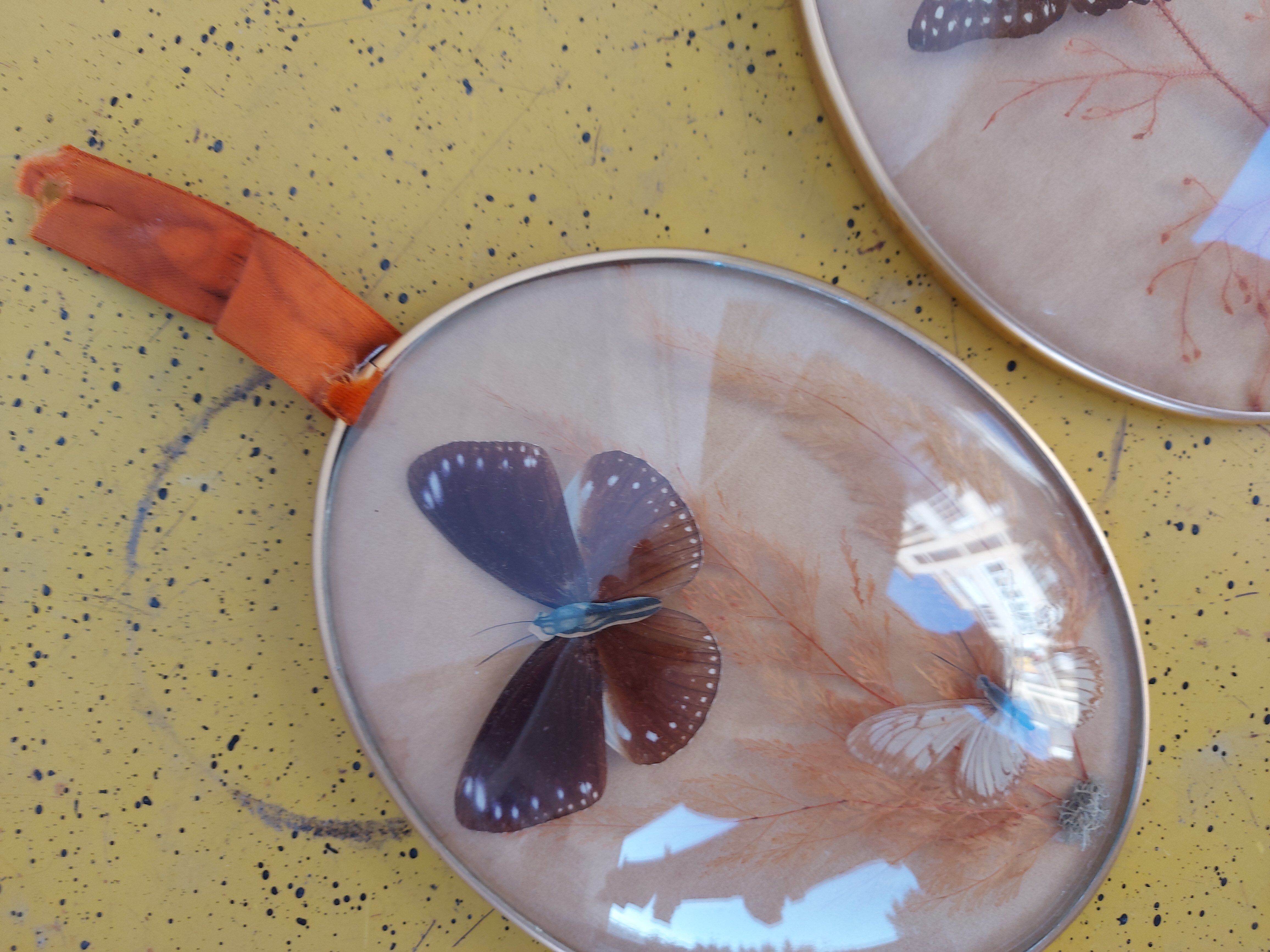 Pair of vintage butterfly frames