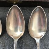 Series of 12 teaspoons in silver metal