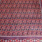Persian carpet Afshar Iran