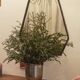 Pentagonal mirror with a black metal frame