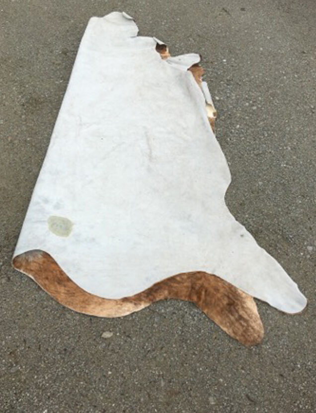Big Cow Skin Carpet 2mx2m