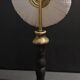Cabinet de Curiosités oursin sphaerechinus granularis sur socle
