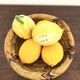 Lemon-shaped ceramic salt and pepper shakers