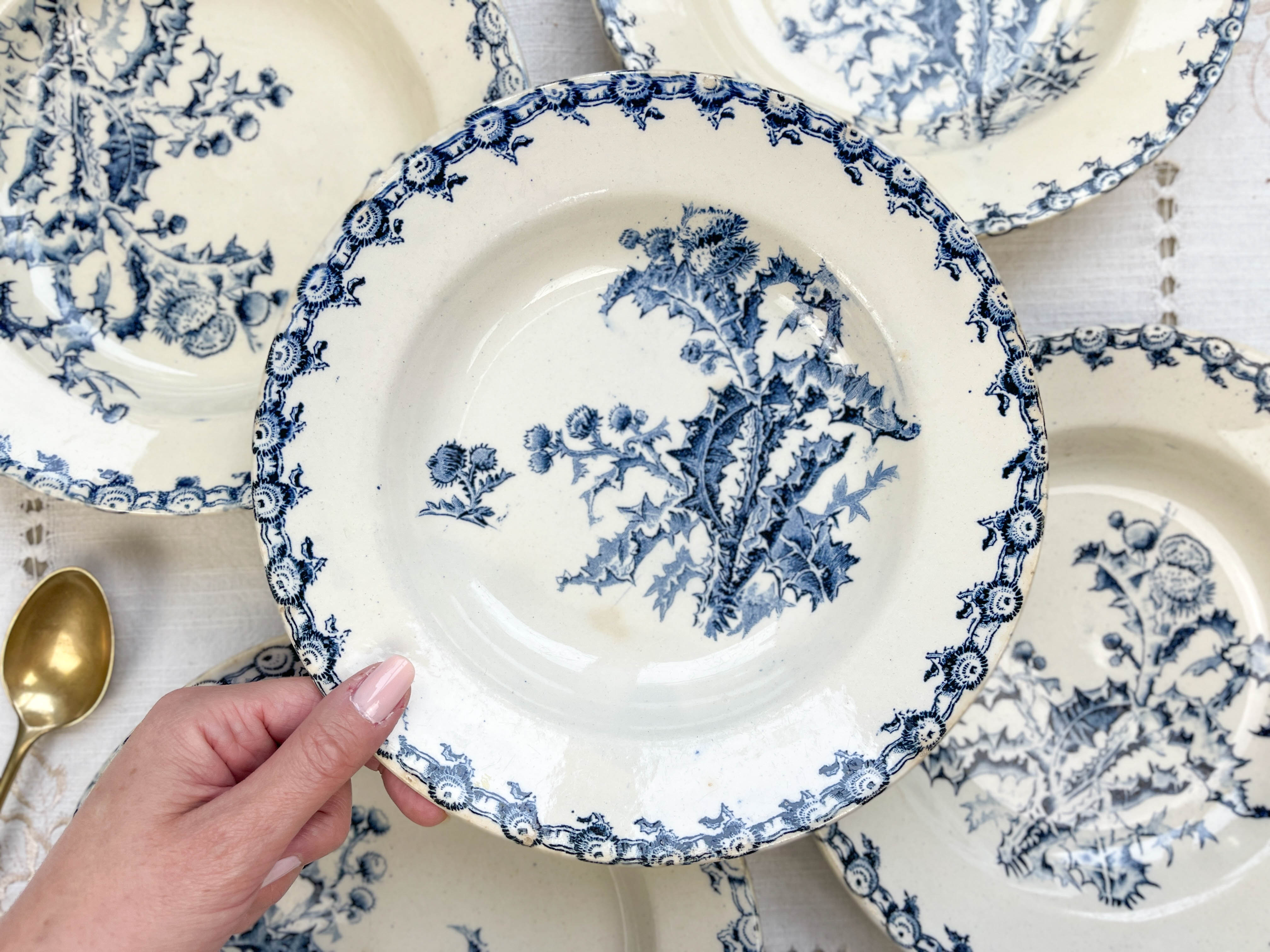 5 assiettes creuses terre de fer gien modèle chardons made in france