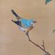 2 vintage Chinese paintings on silk